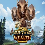 PlayNGO Buffalo of Wealth
